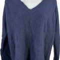 J.Crew Women’s Navy Blue Long Sleeve Wool V-Neck Pullover Sweater - XS