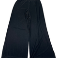 Chico's Travelers Women's Black Casual Semi Sheer Pull On Pants - 3/US XL