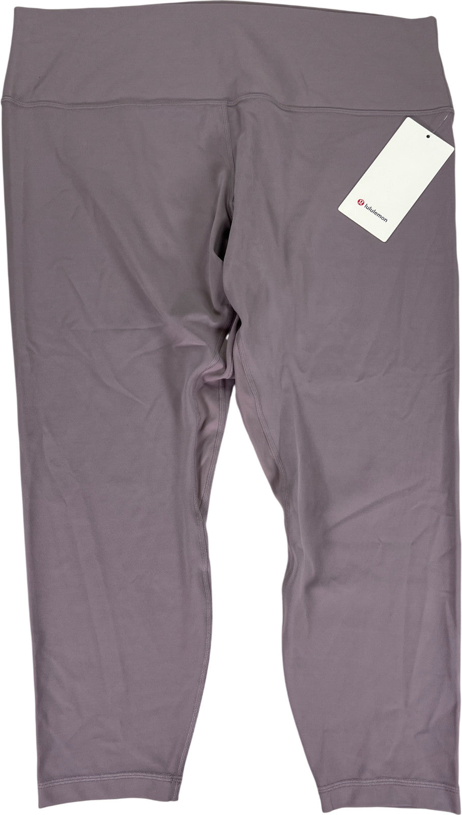 Lululemon Women’s Purple/Violet Align 25 in Leggings - 20