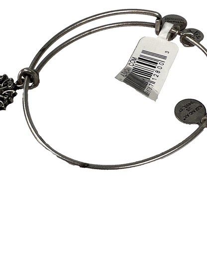 Alex and Ani Women’s Silver Tone Compass Bangle Bracelet image 6