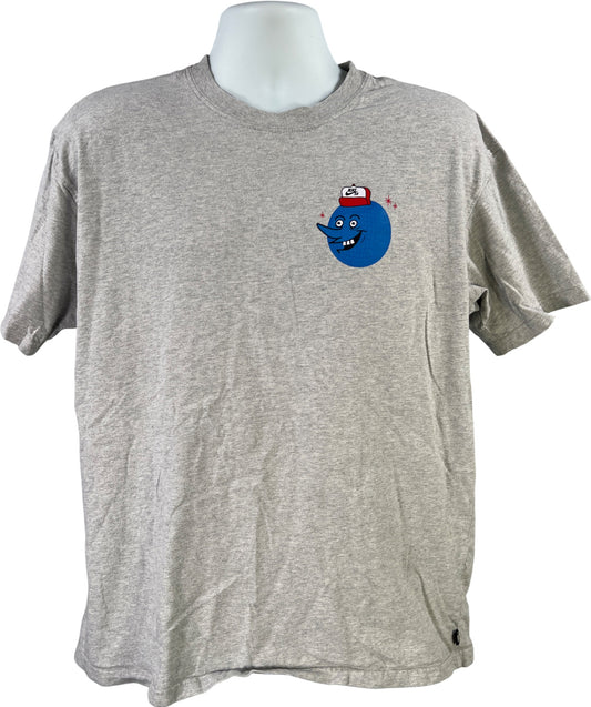 Nike SB Men’s Gray Short Sleeve Graphic Loose Fit T-Shirt - M