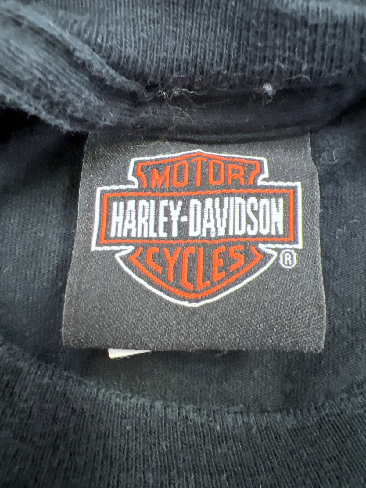 Harley Davison Men’s Black Florence KY Looney Tunes Short Sleeve T-Shirt - XL