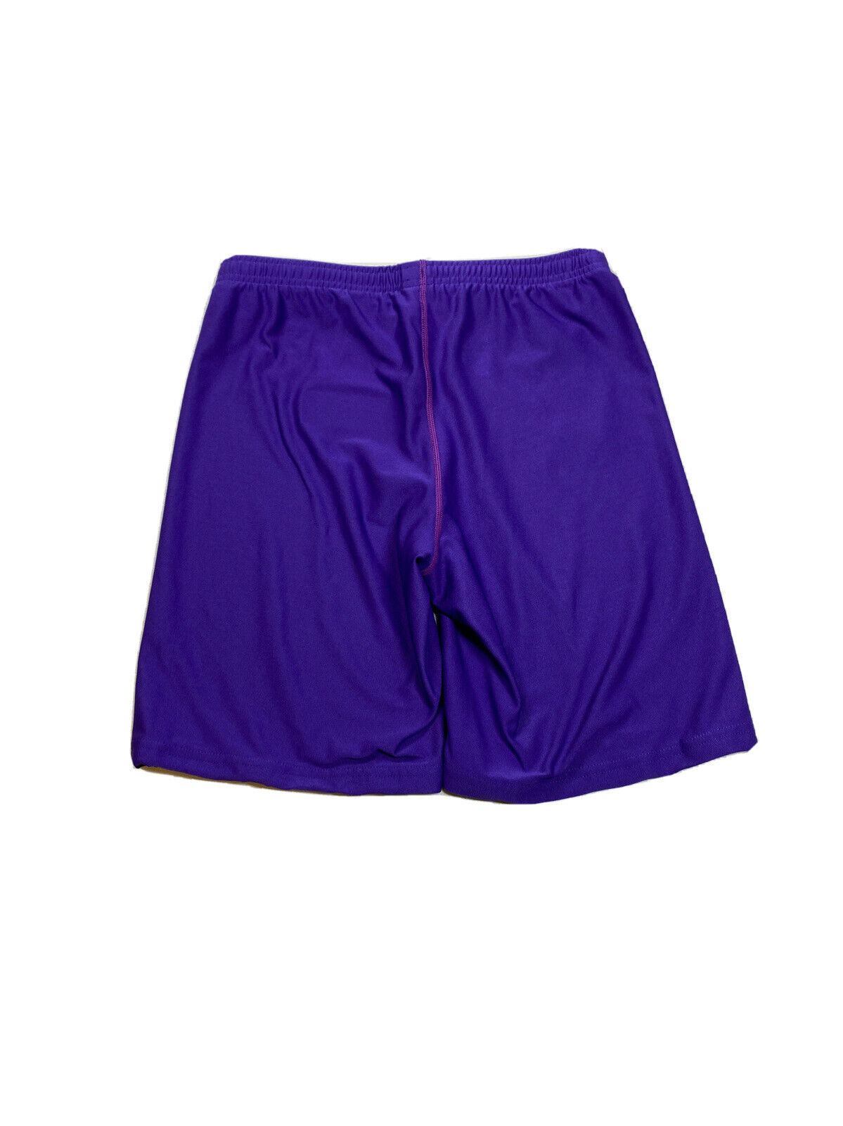 Nike Women's Purple Fitted Athletic Biker Shorts - L